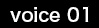 voice01