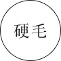 硬毛